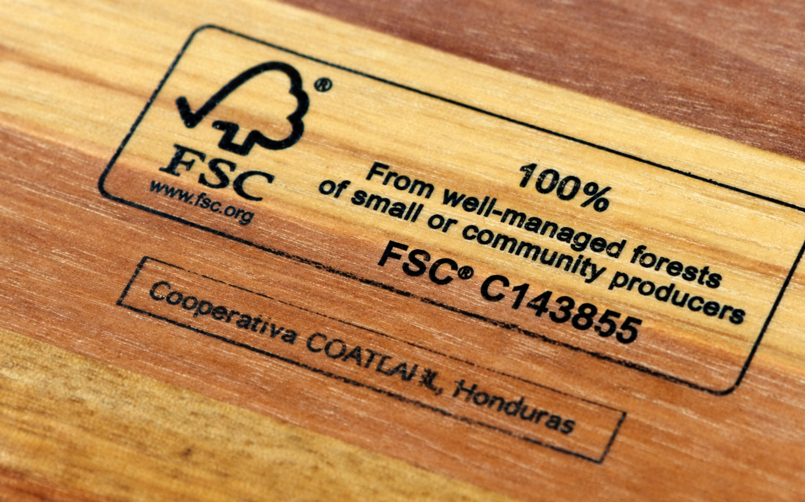 Chứng Nhận FSC Là Gì? Ý Nghĩa Đối Với Ngành Sàn Gỗ Tự Nhiên